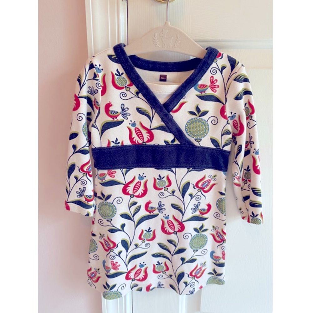 Long sleeve tunic dress from Tea Collection! Lovely fall colors.